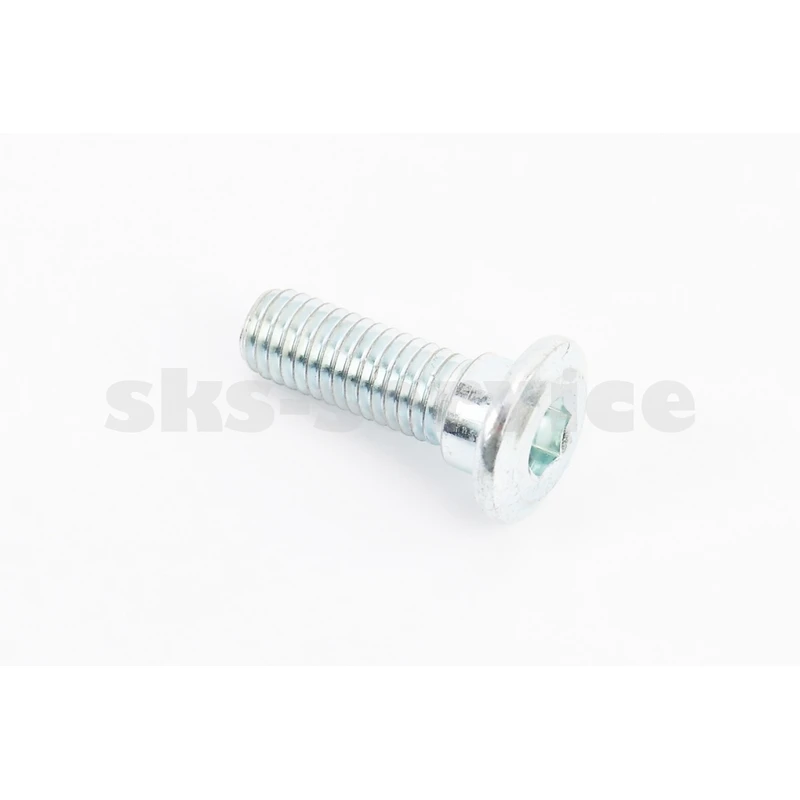 Болт кріплення гальмівного диска M8x25mm (під шестигранник) тип 1