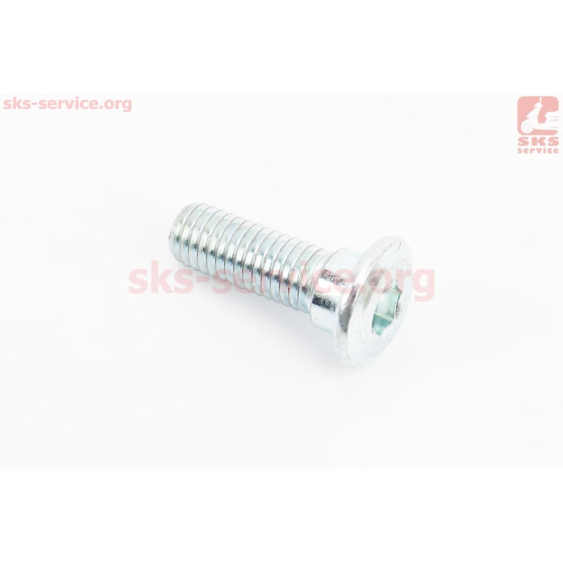 Болт кріплення гальмівного диска M8x25mm (під шестигранник) тип 1