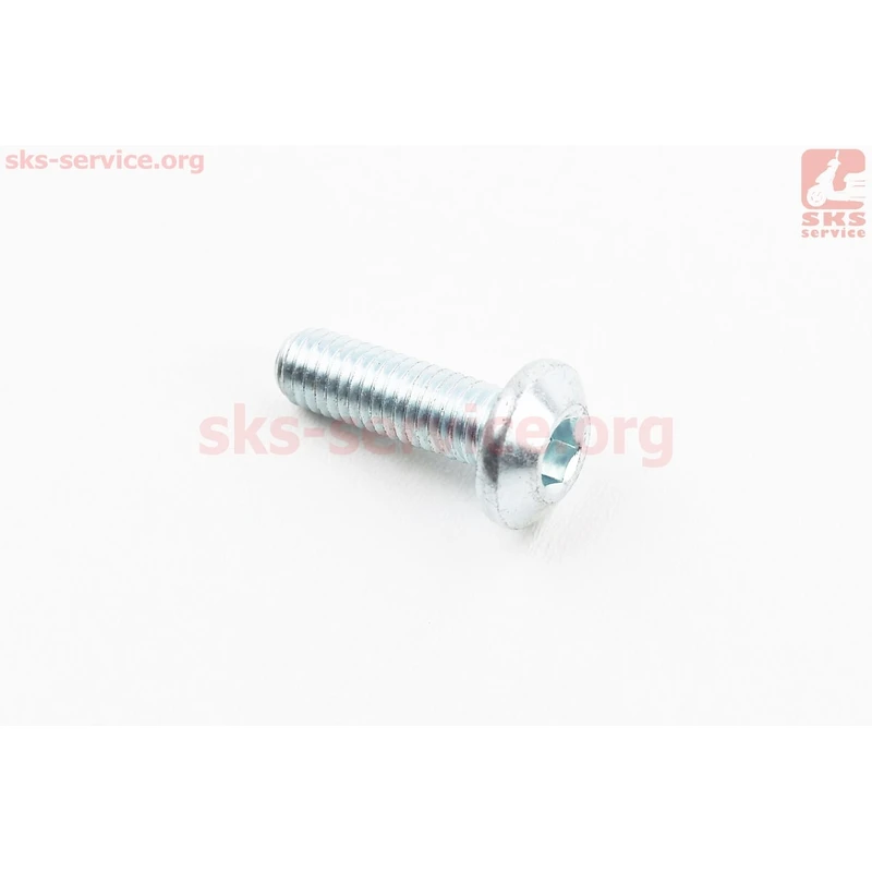 Болт кріплення гальмівного диска M8x25mm (під шестигранник) тип 2